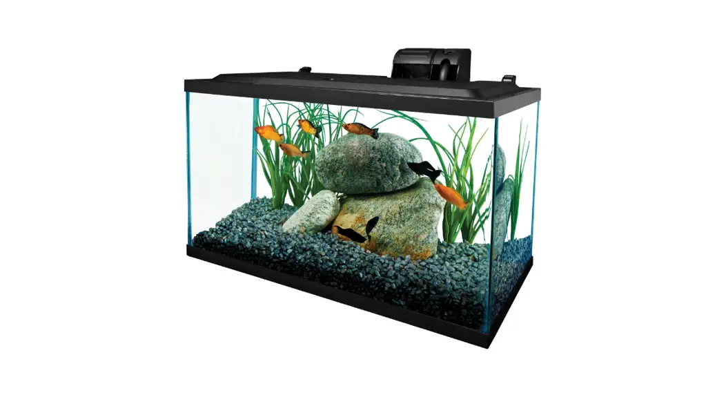 Tetra Aquarium Installation Guide