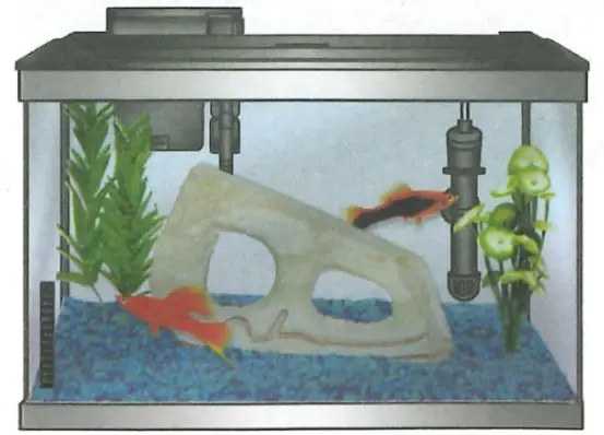 Tetra Aquarium fig 12