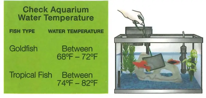 Tetra Aquarium fig 13