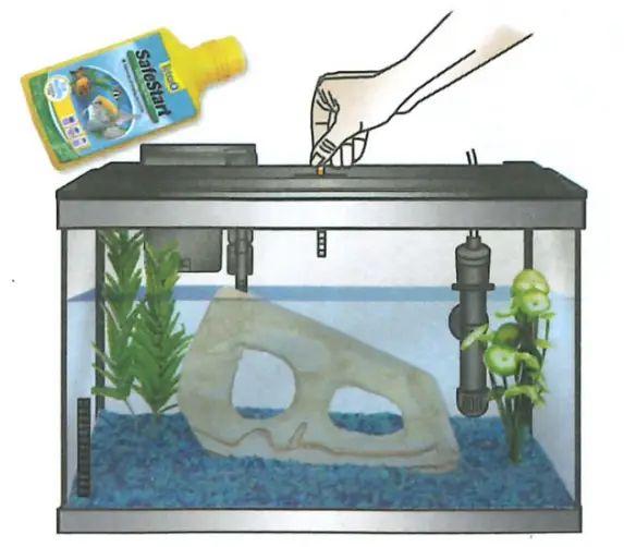 Tetra Aquarium fig 14