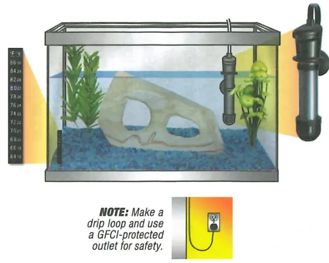 Tetra Aquarium fig 15