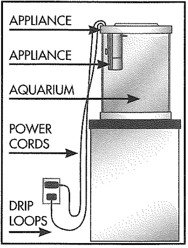 Tetra Aquarium fig 18