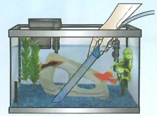 Tetra Aquarium fig 3