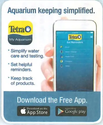 Tetra Aquarium fig 5