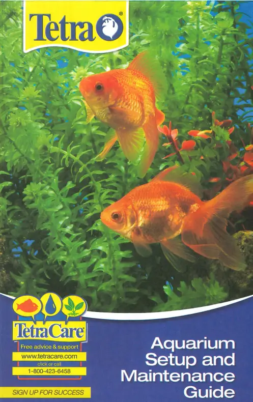 Tetra Aquarium fig 6