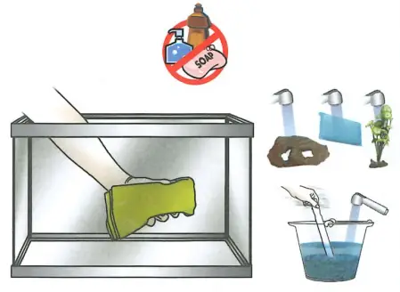 Tetra Aquarium fig 8