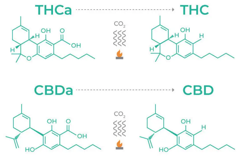 XINHONG Wholesale Herbal Oil and Butter Infusion Machine - Figure 5