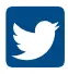 Twitter Icon
