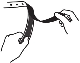 MONSTER LIVE IN COLOR - INSTALL LED STRIPS 1