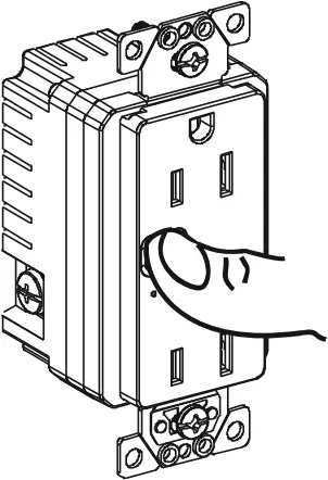B087M5MSYN - Restoring Procedure