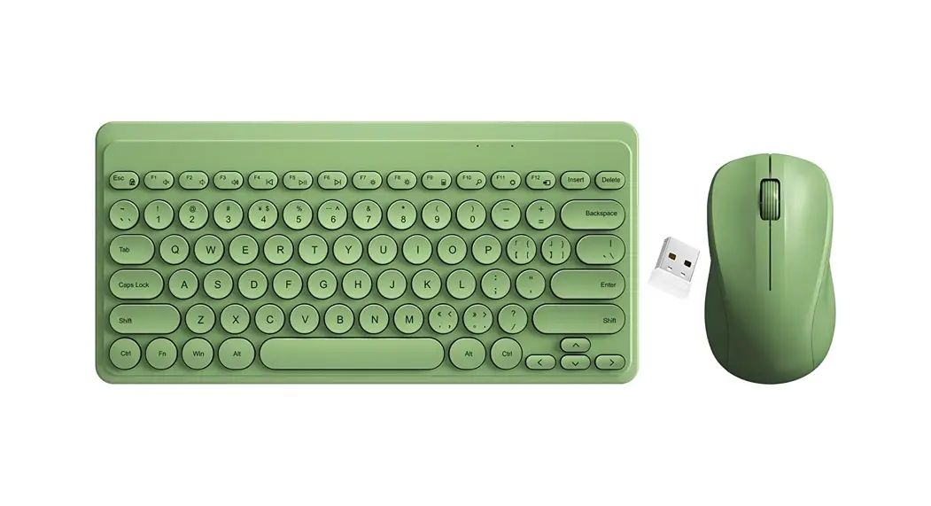 Shaanxi Depin Trading Hw256 Wireless Keyboard And Mouse User Manual