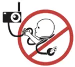 LeapFrog LF2423 Full Color Video Monitor - 2