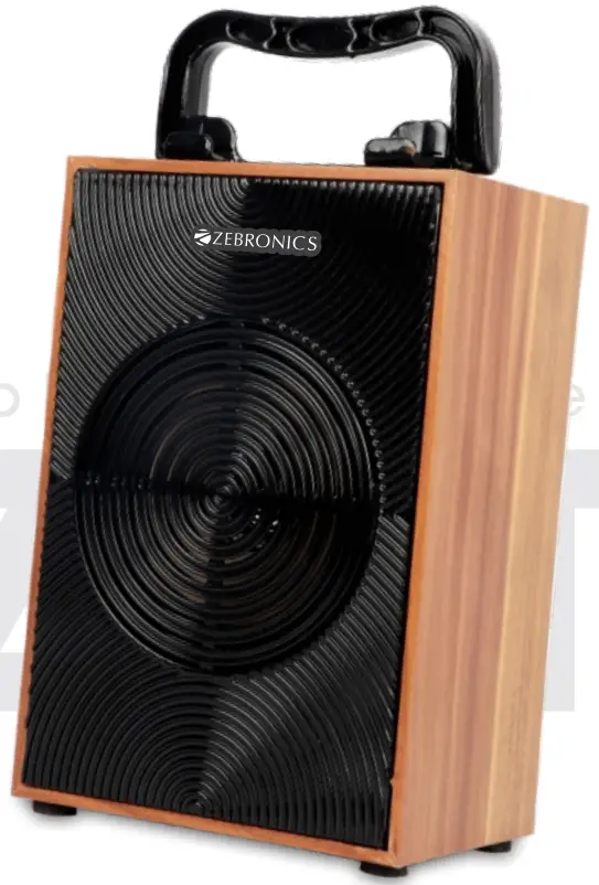 ZEBRONICS-Zest-10-Portable-BT-Speakers-product