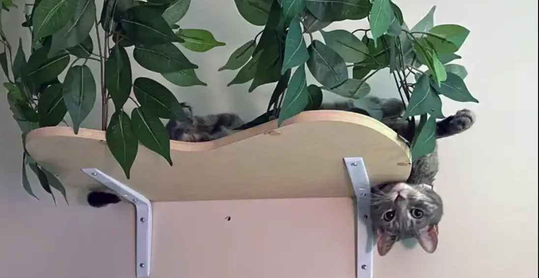 On2pets Interchangeable Leaf Branches Curved Canopies Instruction Manual On2pets Interchangeable Leaf Branches Curved Canopies Instruction Manual