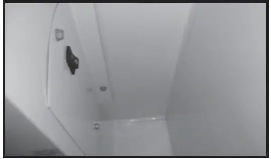 true SPEC Series Heated Cabinets 63