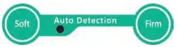 Auto Detection