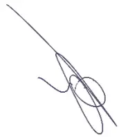 ecotap DC 150 Snellader DC Charger - signeture