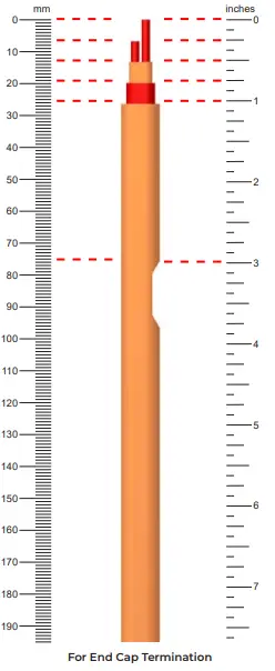 Installation Procedures