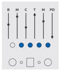 Vintage modulated plate