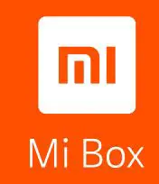 xiaomi M19M Box S Global Version 4K Ultra HD Streaming Media Player User Guide