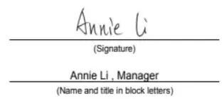 Shenzhen Dzh Industrial DM8100 2 4G Wireless Mouse - sain