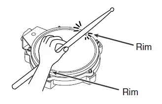 Roland-PD-85BK-8-inch-Electronic-Drum-Pad-7
