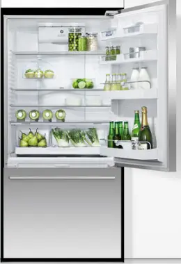 Fisher Paykel RF170WDRUX5N Freestanding Refrigerator Freezer-product