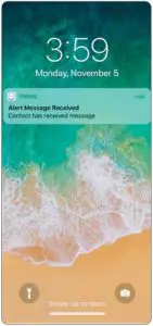 Alert Message Received Interface