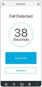 Fall Detected Interface
