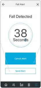 Fall Detected Interface