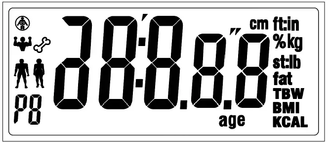 PROFI-CARE PC-PW 3007 FA 8 In 1 Glass Analysis Scale-2