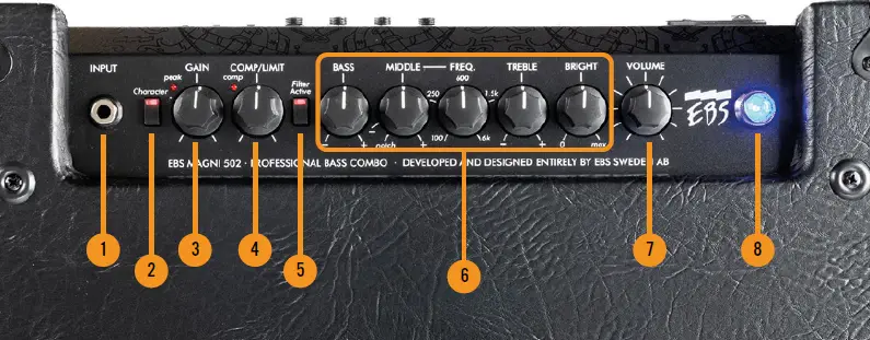 EBS-MAGNI-502-Professional-Bass-Combo-fig- (2)