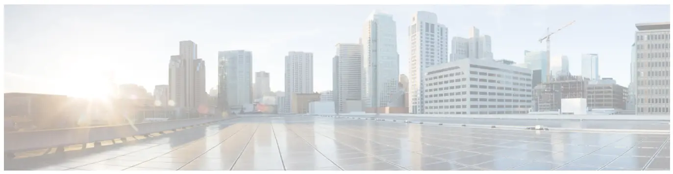 Puppet Agent NX-OS Environment