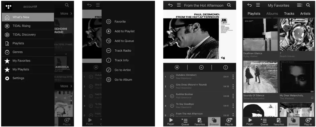 bel canto STREAM 2 Network Bridge - playlist or Queue