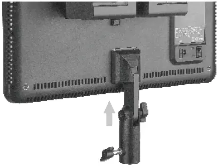 Using the Video Light