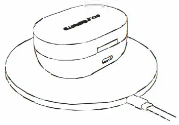 SOUNDPEATS Q True Wireless Earbuds - Charge the earbuds