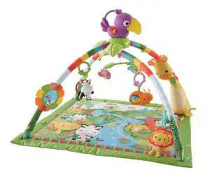 Fisher-Price Raubfirest Music and Lights Deluxe Gym Instructions
