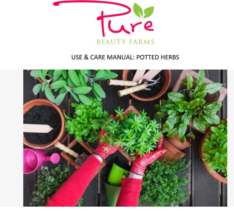 Pure Beauty Farms Potted Herbs User Manual