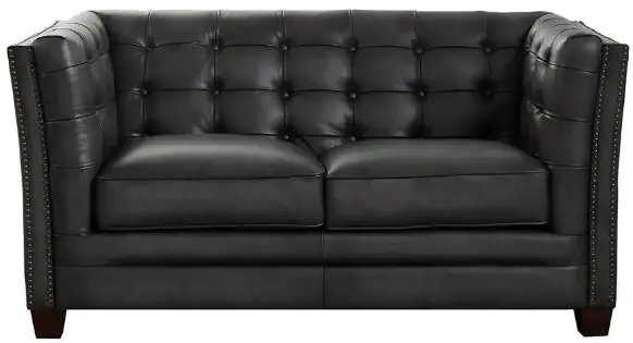 HYDELINE Georgia 68 in. Midnight Blue Solid Leather 2-Seater Loveseat-0product