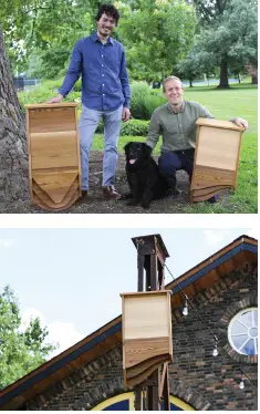 BAT-BNB-Hanging-Mount-a-Bat-House-on-a-Wooden-Pole-fig-1