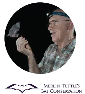 BAT-BNB-Hanging-Mount-a-Bat-House-on-a-Wooden-Pole-fig-14