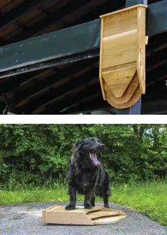 BAT-BNB-Hanging-Mount-a-Bat-House-on-a-Wooden-Pole-fig-2