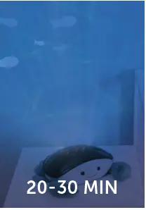 ZAZU-Ocean-Projector-Sleep-Soother-With-3-Step-Sleep-fig-4