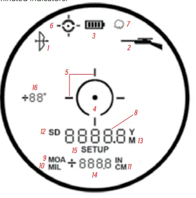 DISPLAY INDICATORS/ICONS