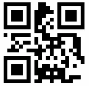 Fein Dustex 25L Wet and Dry Vacuum Cleaner - QR core