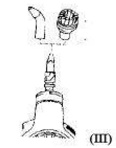 JAXPETY WG71E0003 Steam Cleaner 6