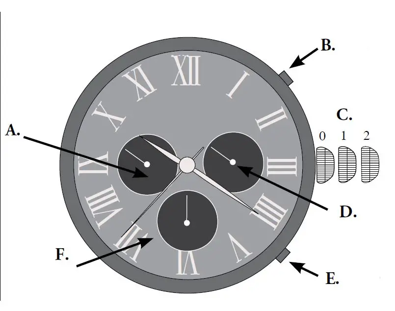 Stauer 49424 Time Traveler Automatic Watch FIG 1