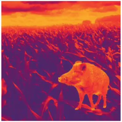 LIEMKE KEILER PRO 2020 Thermal Imaging Monocular - FASCINATION