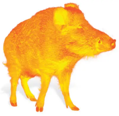 LIEMKE KEILER PRO 2020 Thermal Imaging Monocular - fig 1