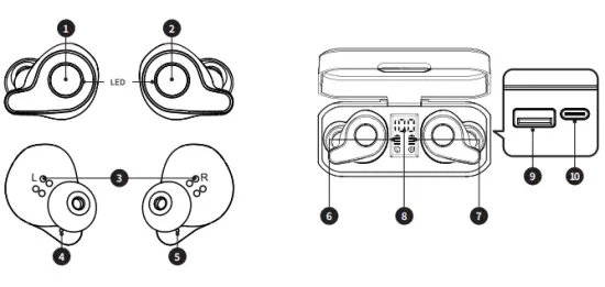 Names of Parts and Functions